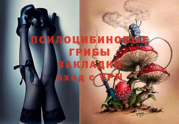 mdpv Арсеньев