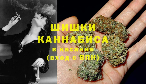 mdpv Арсеньев